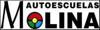 Logo MOLINA - Autostool